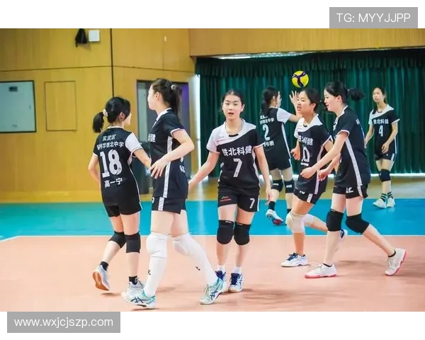 南京排球队荣登排球耐力排行榜首位引领全国排球新风潮